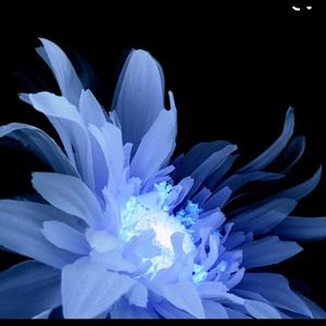 Meet your Posher, Kat